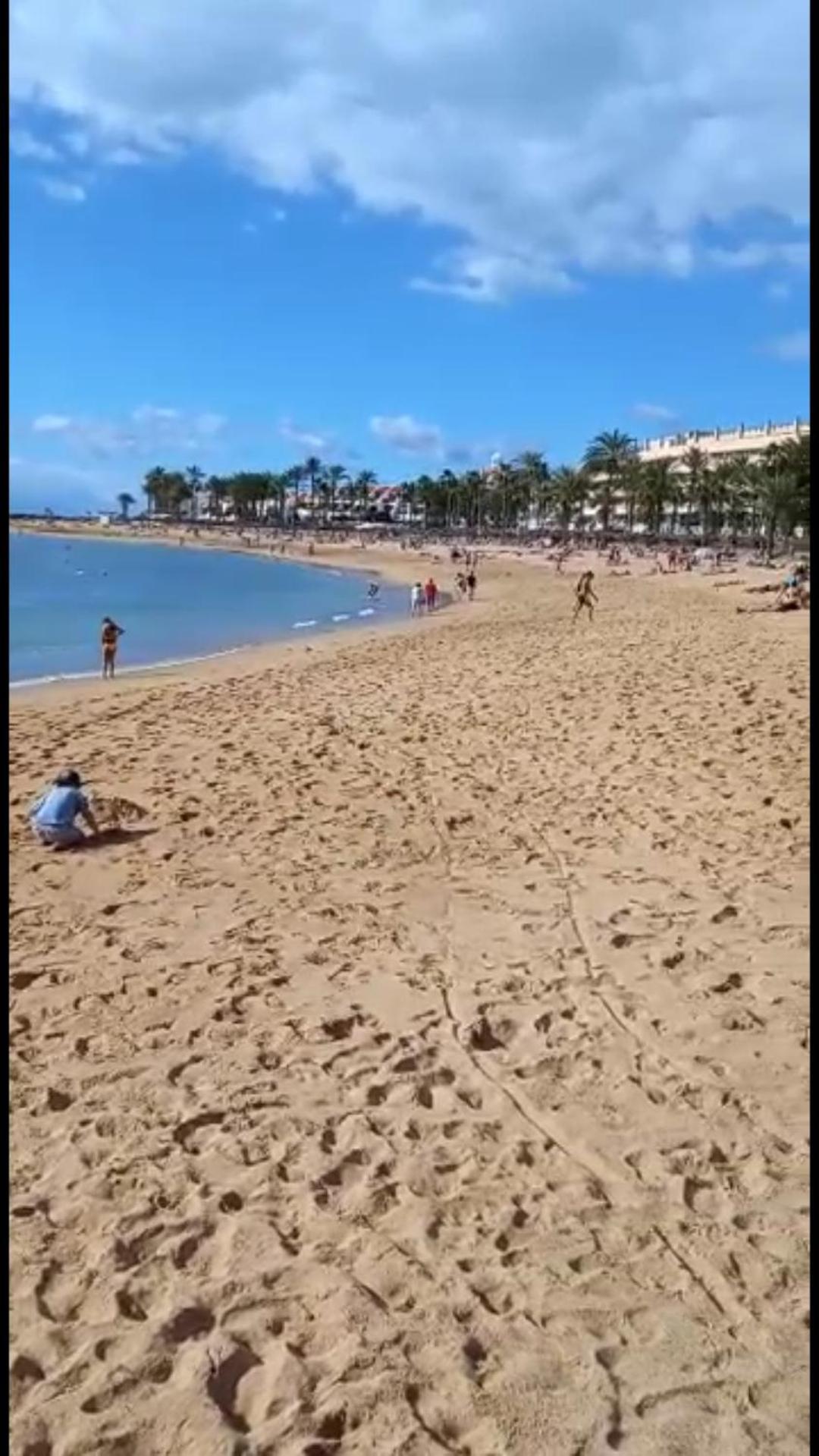 Chill Out Tenerife Sud - Monolocale Con Piscina Riscaldata Costa del Silencio Eksteriør billede